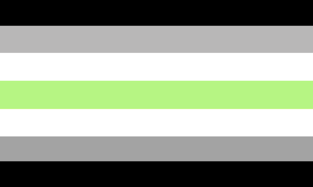 A bandeira possui 7 faixas horizontais. A faixa central é verde, sendo seguida por faixas brancas, cinzas, e as extremas são pretas.