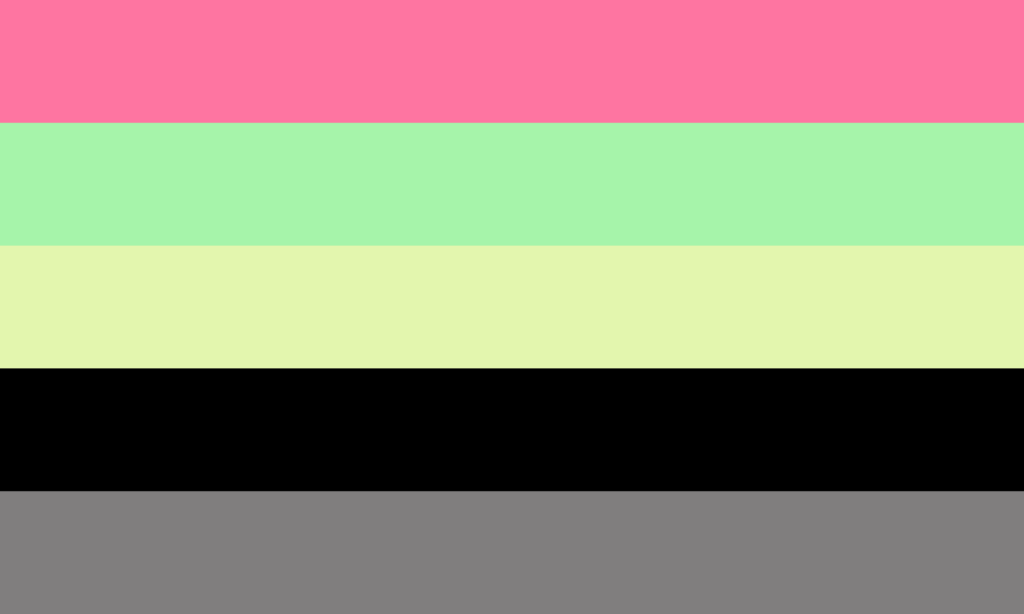 A bandeira consiste de 5 faixas horizontais, sendo, de cima para baixo, rosa, verde, verde claro, preto e cinza.