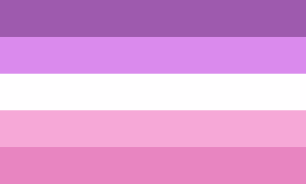 A bandeira consiste de 5 faixas horizontais, sendo, de cima para baixo, roxa, lilás, branca, rosa claro e rosa chiclete.