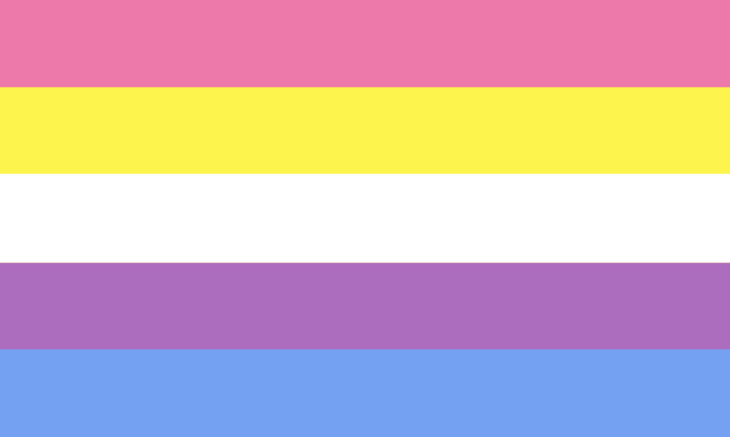 A bandeira consiste de 5 faixas horizontais sendo, de cima para baixo, rosa, amarelo, branco, roxo e azul.