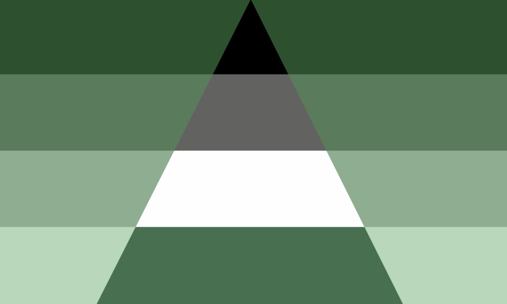 A bandeira consiste de 4 faixas horizontais, sendo um degradê de verde escuro a verde claro, de cima para baixo. No centro há um triângulo com 4 faixas horizontais nas cores preto, cinza, branco e verde escuro.