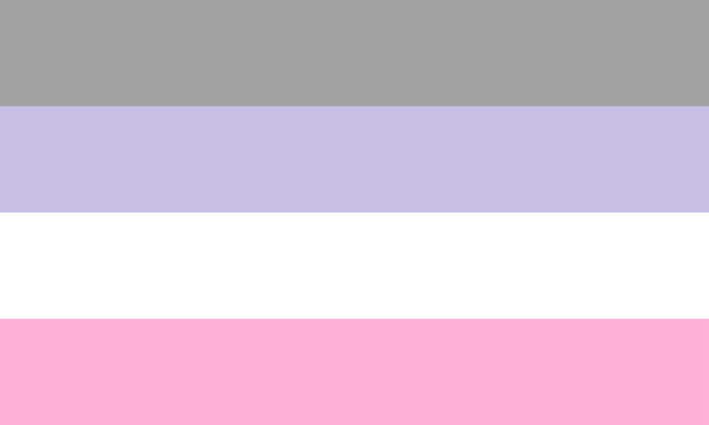 A bandeira consiste de 4 faixas horizontais, sendo, de cima para baixo, cinza, lilás, branco e rosa, todas em tons pastéis.