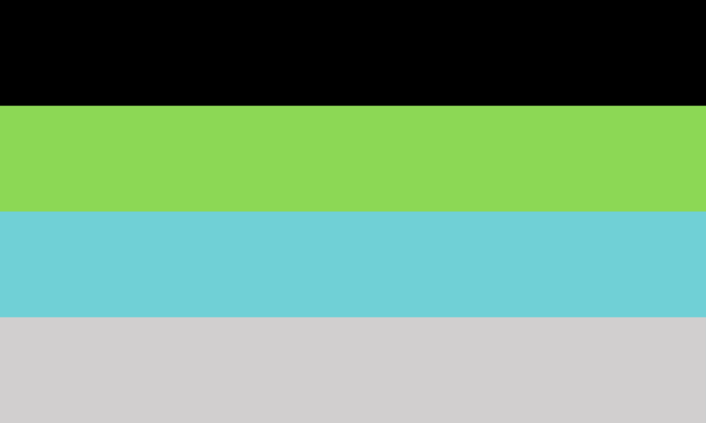 A bandeira consiste de 4 faixas horizontais, sendo, de cima para baixo, preto, verde, azul claro e cinza.