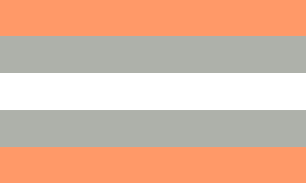 A bandeira possui 5 faixas horizontais. A faixa central é branca, sendo seguida por faixas cinzas, e as extremas são laranjas.