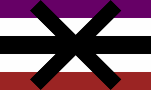 A bandeira consiste de 5 faixas horizontais, sendo, de cima para baixo, roxo, branco, preto, branco e vermelho. No centro, um imenso X preto.