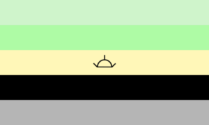 A Imagem apresenta 5 faixas, de cima para baixo, sendo elas: Verde Claro, Verde, Amarelo claro, Preto e Cinza. ao centro da faixa amarela temos o desenho de um sol nascendo (A aurora do dia).