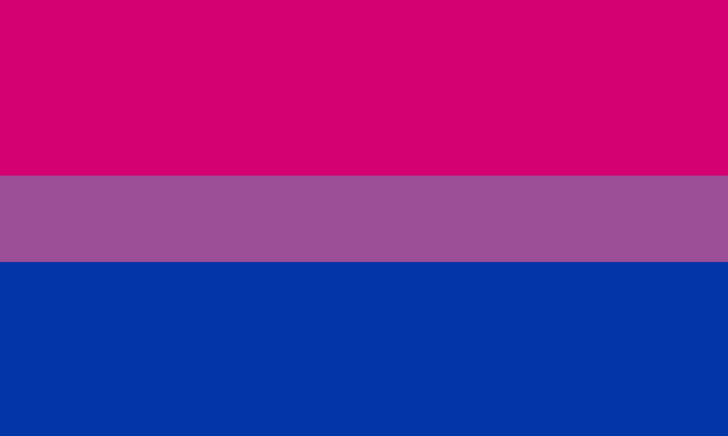 A bandeira consiste de 3 faixas horizontais. A do centro, roxa, é mais fina que as demais. A de cima é rosa e a de baixo é azul.