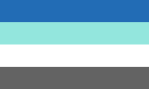 A bandeira consiste de 4 faixas horizontais nas cores azul, azul claro, branco e cinza, respectivamente
