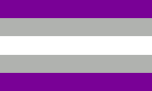 A bandeira possui 5 faixas horizontais. A faixa central é branca, sendo seguida por faixas cinzas, e as extremas são roxas.
