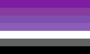 A bandeira consiste de 7 faixas horizontais. Ah 4 primeiras vão de um degradê de roxo a lilás e são seguidas pelas cores branco, cinza e preto, respectivamente.