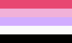 A bandeira consiste de 5 faixas horizontais, sendo, respectivamente, rosa chiclete, rosa claro, lilás, branco e preto.