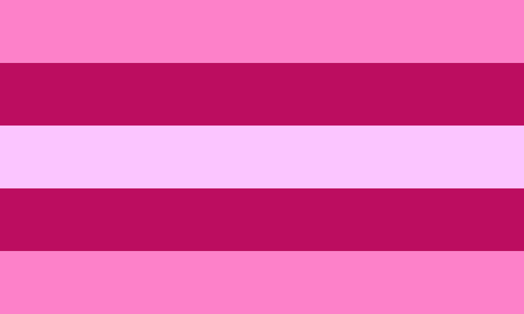 Bandeira Transfem composta por 5 faixas horizontais, sendo elas: 1 faixa central lilás, 2 faixas rosa escuro acima e abaixo da lilás e 2 faixas rosa claro e abaixo das rosas.