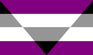 A bandeira consiste de 4 faixas horizontais nas cores, de cima para baixo, preto, cinza, branco e roxo. Há um triângulo invertido cortando a mesma. Ele está dividido em quatro faixas, sendo exatamente o inverso das cores anteriormente mencionadas.