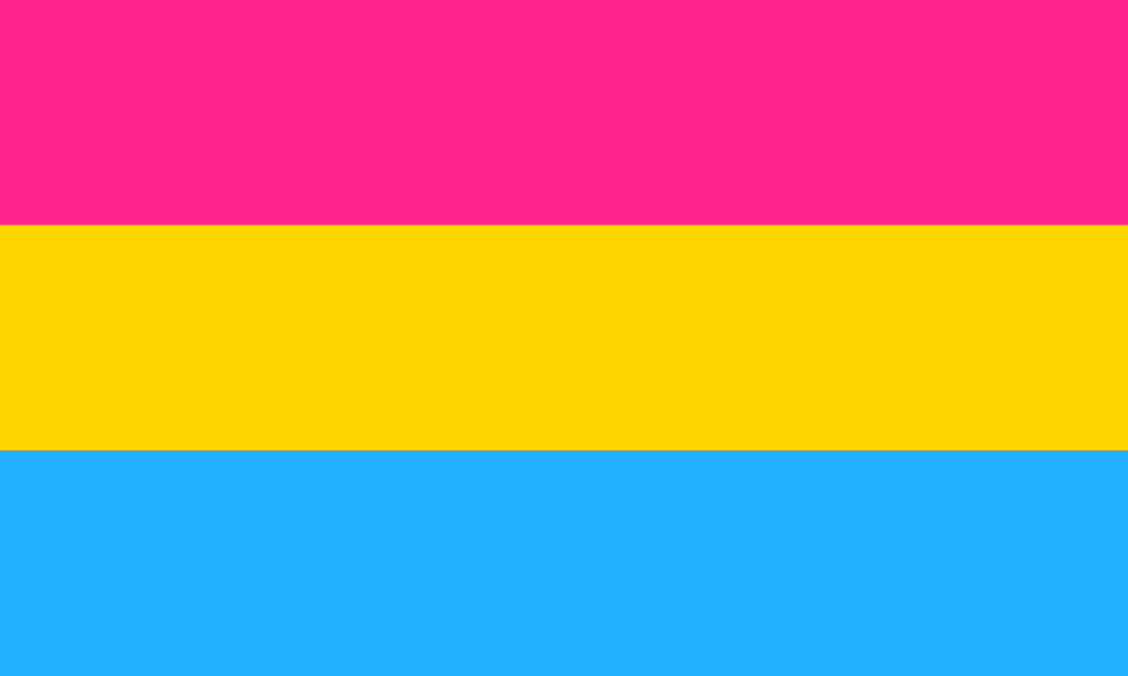 A bandeira consiste de 3 faixas horizontais, sendo uma rosa, uma amarela e uma azul.