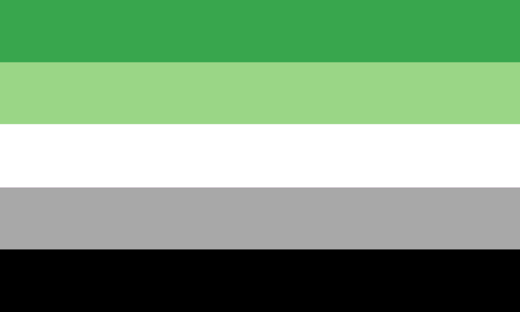 A bandeira consiste de 5 faixas horizontais, sendo, de cima para baixo, verde, verde claro, branco, cinza e preto.