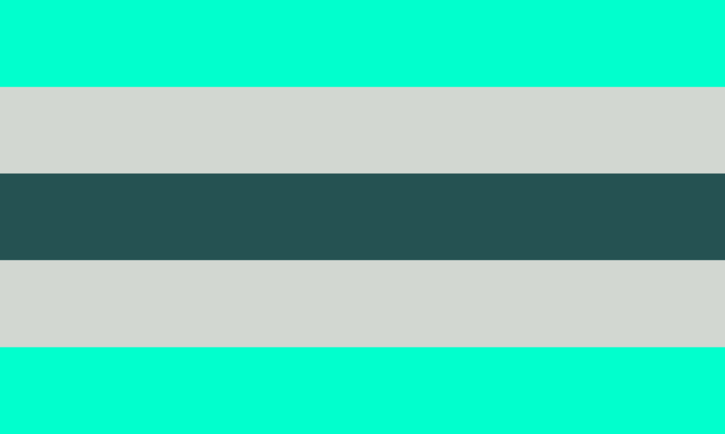 A bandeira consiste de 5 faixas horizontais, sendo a do centro verde musgo, envolta por duas faixas cinzas, e as das bordas verde-água.