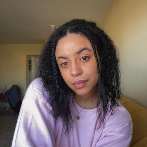 Mulher negra de pele clara, com cabelos crespos na altura dos ombros e duas trancinhas na frente. Ela usa uma camisa lilás e tem olhos castanhos. O fundo da foto é uma sala de parede amarelada.